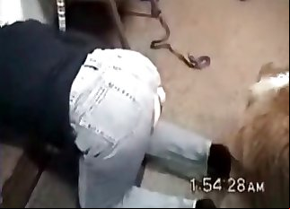 Amazing bestiality joy for a super-hot mega-bitch and a lovely doggie