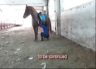 Marvelous brown horse in amazing zoophilia