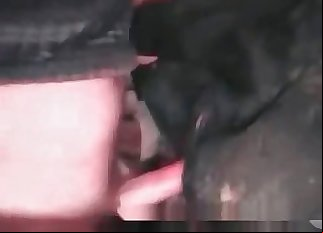 Crooked first-timer and his fave dog in ass job action