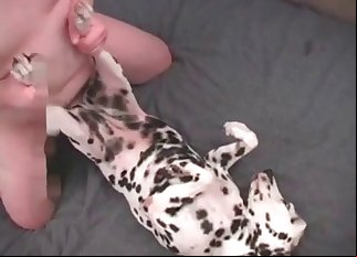 Dalmatian getting drilled by a kinky dude